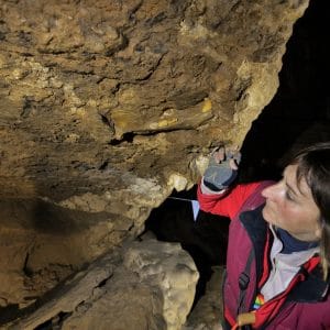 Celjust-od-blizu_small-1