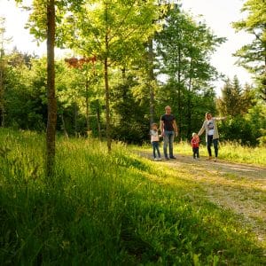 Naravoslovna učna pot