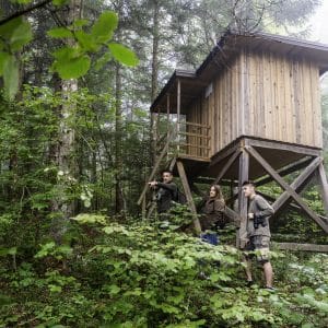 Pred opazovalnico rjavega medveda