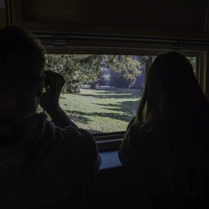 Opazovanje rjavega medveda