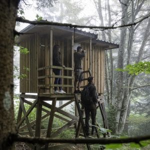 Pred opazovalnico rjavega medveda