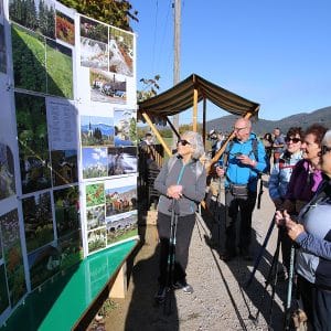 Pohod po Loški dolini