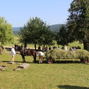 Foto: Borut Kraševec