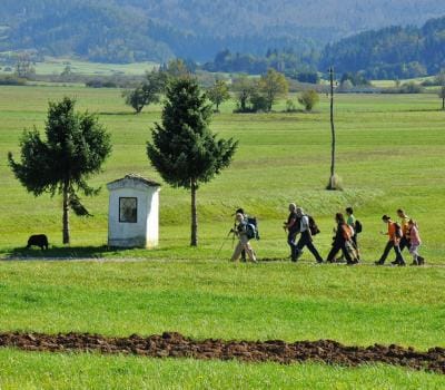 15. Pohod po Loški dolini