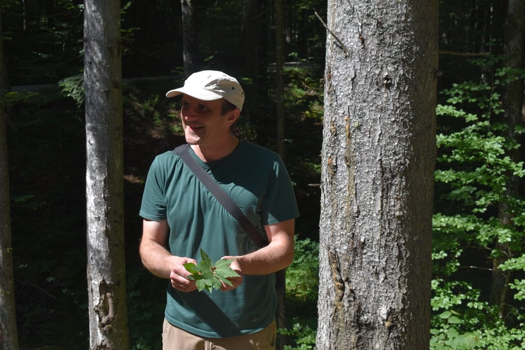 Etnobotanični sprehod