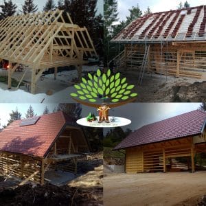 Izgradnja kozolca na Vrhu v Loški dolini