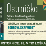 Abonma Ostrnička: Bobrova skrivnost