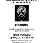 Razstava Sonje Butina