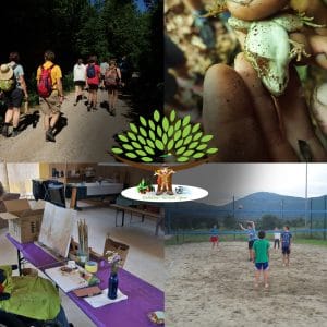 Pilotne projektne aktivnosti