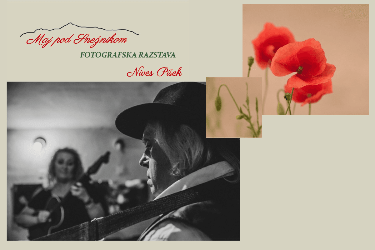 Fotografska razstava Nives Pišek: Maj pod Snežnikom
