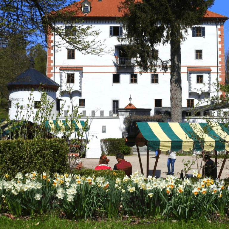 Tržnica pri gradu Snežnik