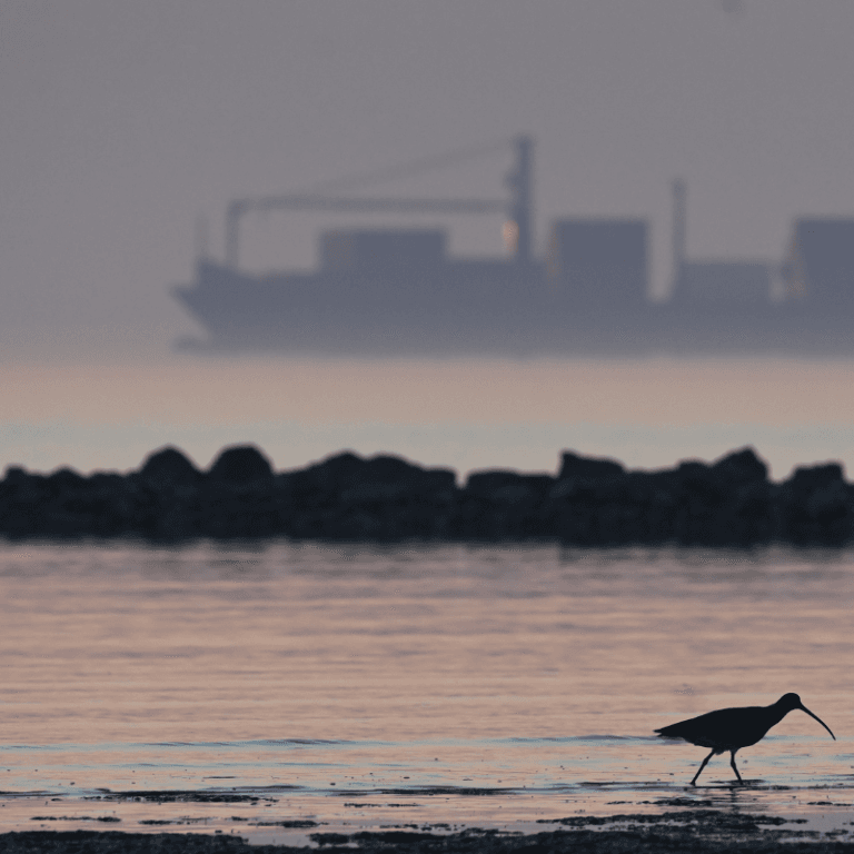 SPLETNA STRAN 2026 (9)