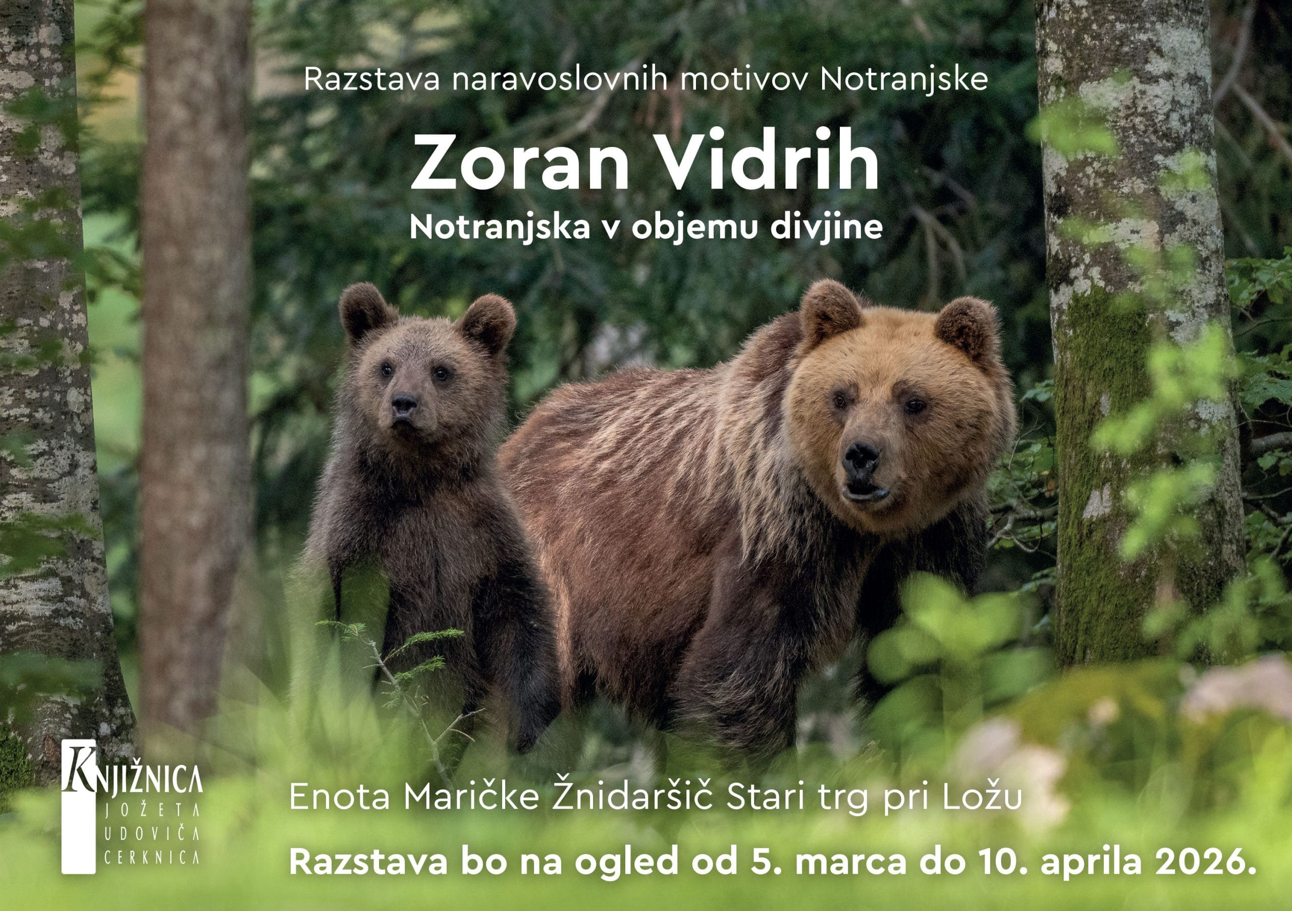 Vidrih Zoran ST