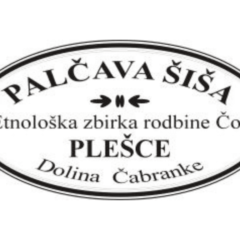 SPLETNA STRAN 2026 (8)