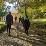 Pohod: Ob poti in cesti še ptica lahko gnezdi